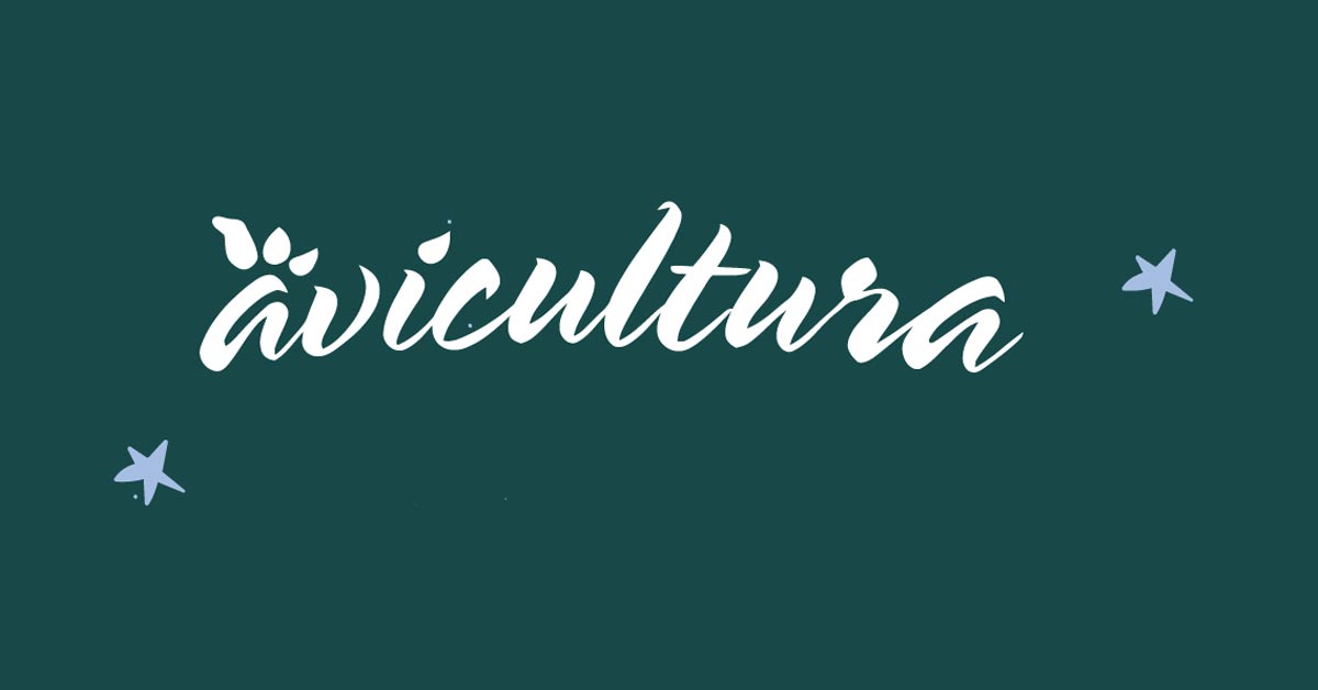 Festival Avicultura Santa Maria de Punilla